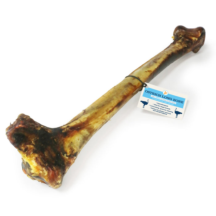 Ostrich Long Bone