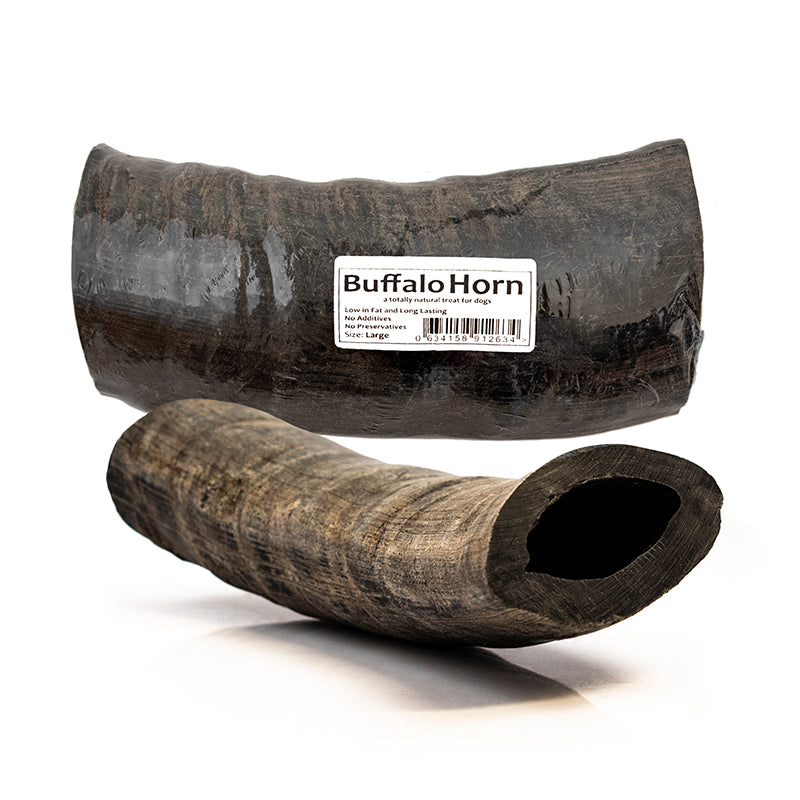 Water buffalo horn for shop dogs