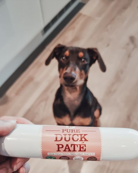 Can dogs eat pate best sale